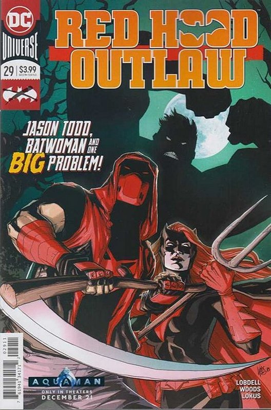 Cover of Red Hood & The Outlaws (Vol 2) #29. One of 250,000 Vintage American Comics on sale from Krypton!